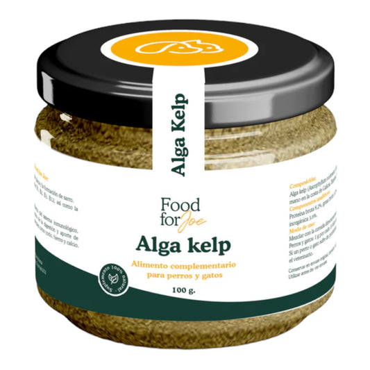 Food for joe Alga kelp