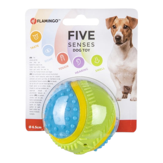 Senses Pelota Sensorial