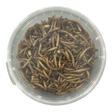 Miniorycs gusanos de la harina