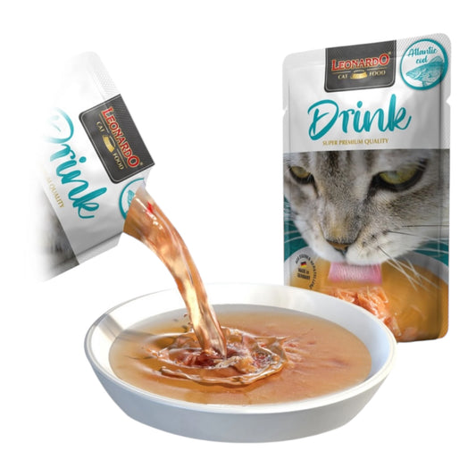 Leonardo drink sopa Bacalao