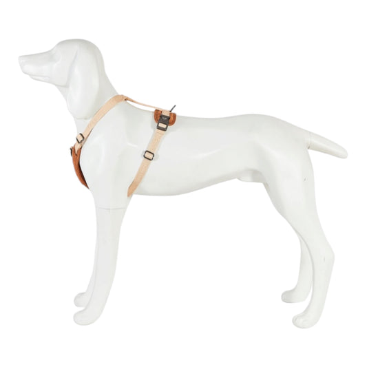 Freedog Arnes Linum Sand Beig Para Perros