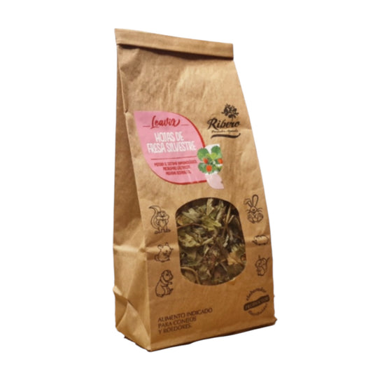 Ribero Hojas de Fresa Silvestre para Conejos y Roedores