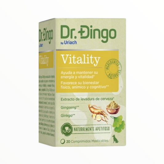 Dr Dingo Vitaly