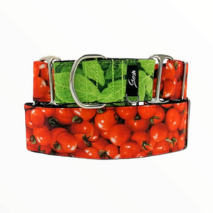 Gosk Collar Martingale Cherry
