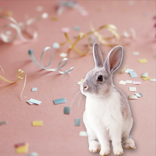 Caja regalo para conejos