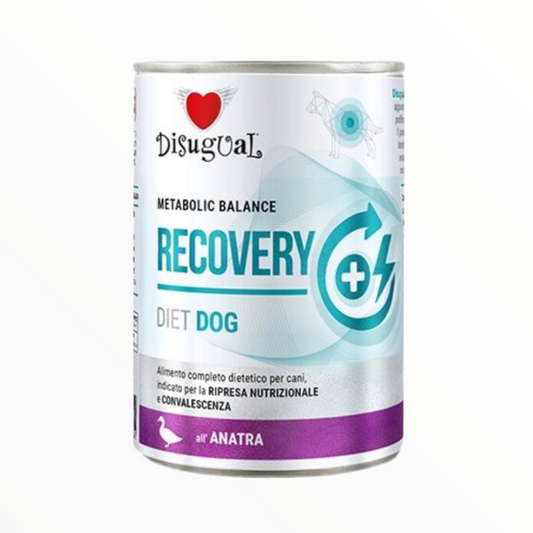 Disugual vet diet recovery