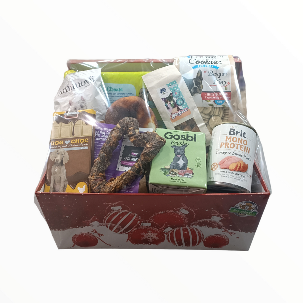 Caja regalo para perros NewMascota Baricentro