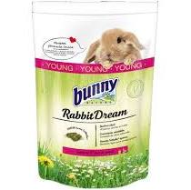Bunny dream conejo baby